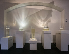 agasi vloed roosmarijn kinkel 