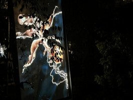 Botanical Stories - Esmée Winkel x Jos Agasi 