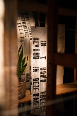 Dorst - photo Jara van den Bosch 