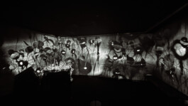 agasi Lens (2025) artwork 