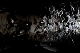 agasi Lens (2025) - photo: naor studio 