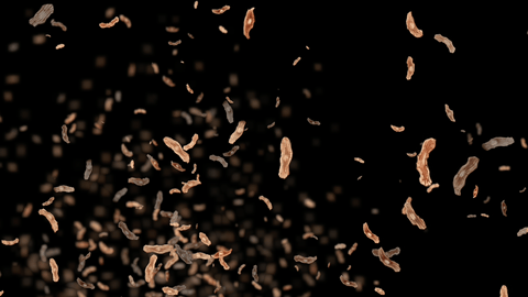 agasi Seeds of Hope - Esmée Winkel th 