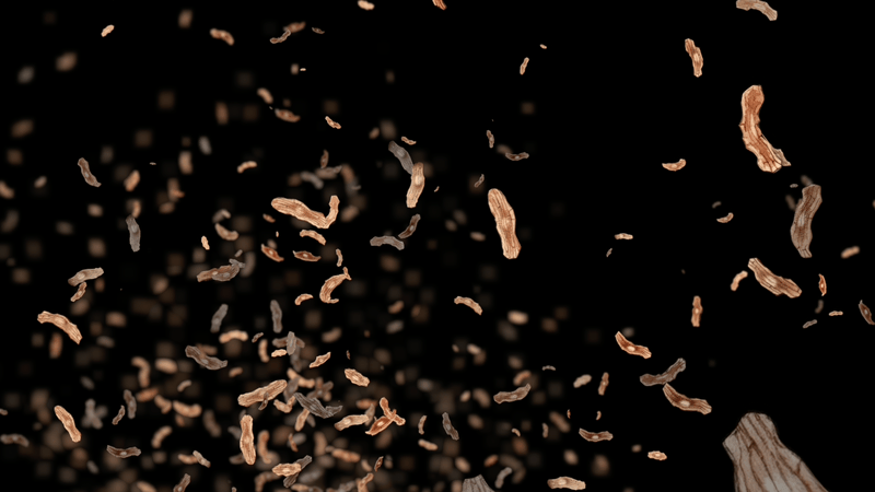 agasi Seeds of Hope - Esmée Winkel