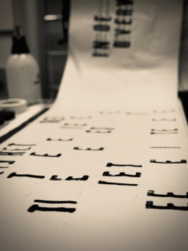 agasi dorst stamping 