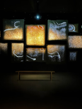 agasi under the skin 