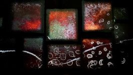 agasi Under the Skin 