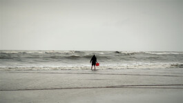 agasi fetch the water anika van de wijngaard