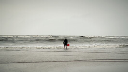 agasi fetch the water anika van de wijngaard 