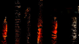 agasi making waves noralie 