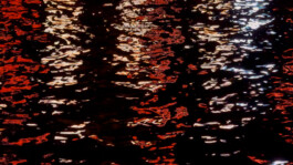 agasi making waves noralie 