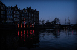 agasi noralie making waves 