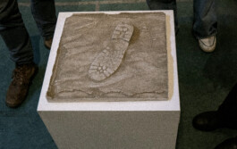 agasi vloed print julia 