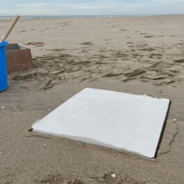 agasi vloed print julia 