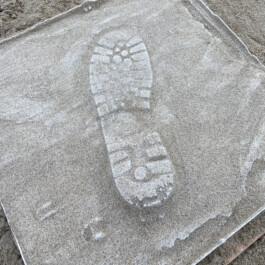 agasi vloed print julia 