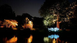 agasi voer voor vissen 