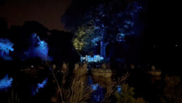 agasi voer voor vissen 