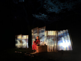 agasi zeemoed karlijn hamer anika van de wijngaard 