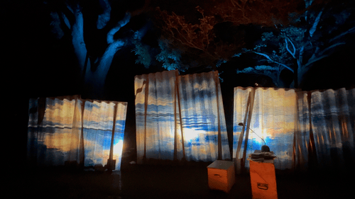 agasi zeemoed karlijn hamer anika van de wijngaard 