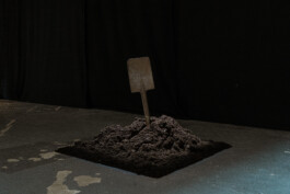 agasi Creation 1-2-3 photo Jara van den Bosch